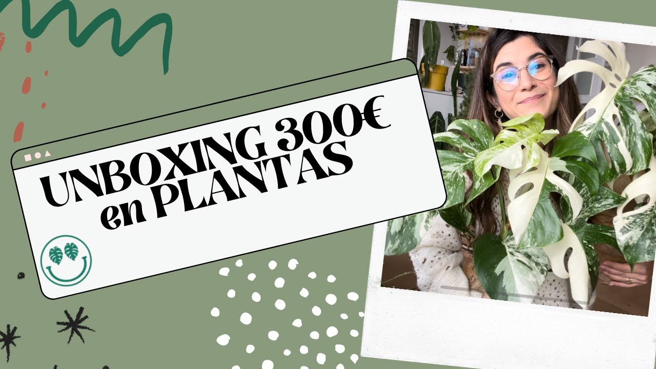 Comprar Plantas Online: Guía Completa para Crear tu Jardín en Casa 4 Comprar Plantas Online: Guía Completa para Crear tu Jardín en Casa